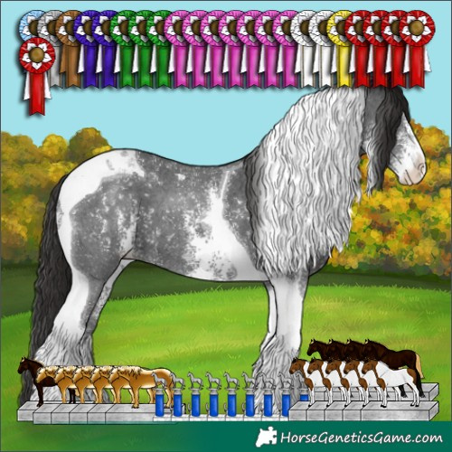 Horse Color:Liver Chestnut Sabino Tobiano 