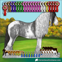 Horse Color:Liver Chestnut Sabino Tobiano 