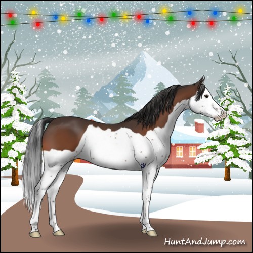 Horse Color:Bay Splash 