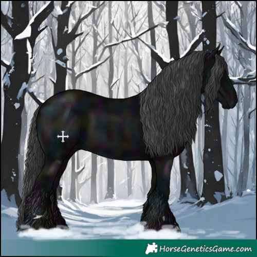 Horse Color:Midnight Black 