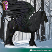 Horse Color:Midnight Black 