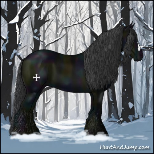 Horse Color:Midnight Black 