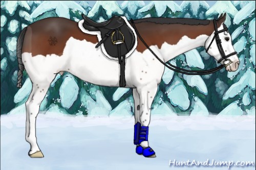 Horse Color:Bay Splash 