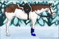 Horse Color:Bay Splash 