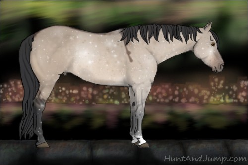 Horse Color:Bay Dun Mushroom Rabicano
