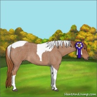 Horse Color:Red Roan Tobiano 