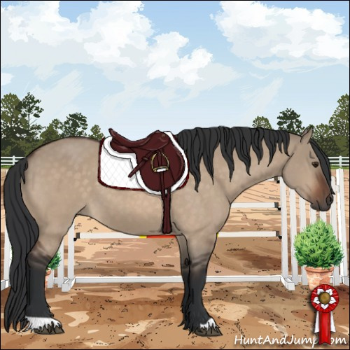 Horse Color:Brown Dun 