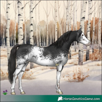 Horse Color:White Spotted Liver Chestnut 
