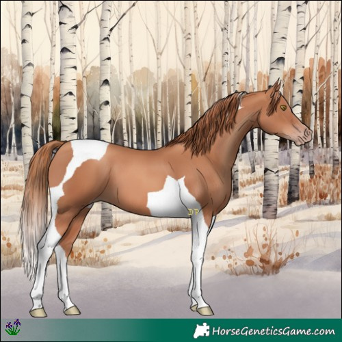 Horse Color:Gold Champagne Tobiano