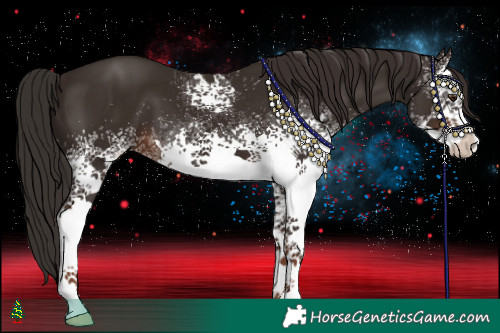 Horse Color:White Spotted Liver Chestnut 