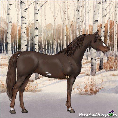 Horse Color:Liver Chestnut Frame
