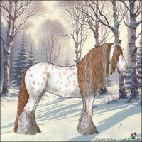 Horse Color:Gold Champagne Ice Near Leopard 