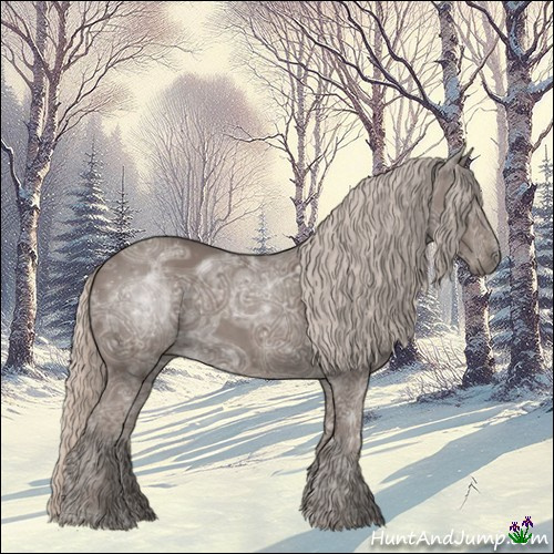 Horse Color:Silver Black Ice