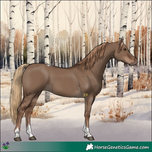 Horse Color:Liver Red Dun Tobiano 