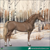 Horse Color:Liver Red Dun Tobiano 