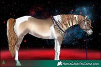 Horse Color:Liver Red Dun Onyx Tobiano 