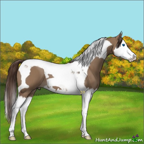 Horse Color:Liver Red Dun Splash Tobiano 