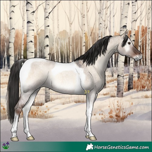 Horse Color:Liver Red Dun Roan Onyx Tobiano 