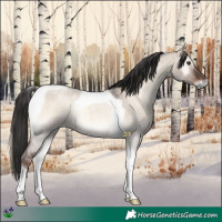 Horse Color:Liver Red Dun Roan Onyx Tobiano 