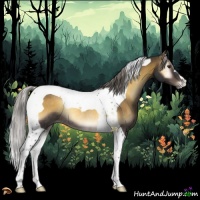 Horse Color:Chocolate Palomino Onyx Tobiano Rabicano 