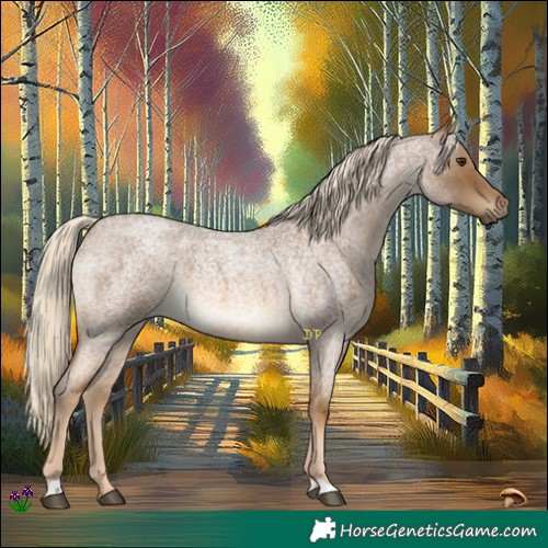 Horse Color:Chocolate Palomino Roan 