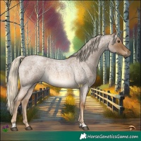 Horse Color:Chocolate Palomino Roan 