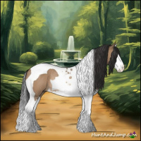 Horse Color:Bay Dun Splash Tobiano Rabicano