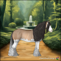 Horse Color:Bay Dun Splash Rabicano