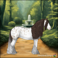 Horse Color:Bay Dun Splash Near Leopard Rabicano 