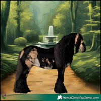 Horse Color:Void Bay Dun Tobiano 