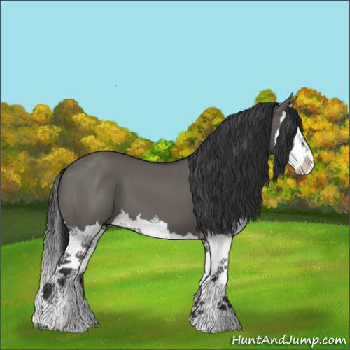 Horse Color:Grullo Splash 