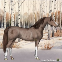 Horse Color:Liver Chestnut Ice Rabicano