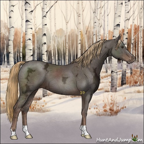 Horse Color:Liver Chestnut Ice 