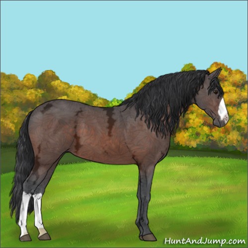 Horse Color:Brown Ice 