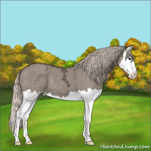 Horse Color:Silver Grullo Ice Splash 