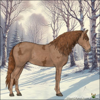 Horse Color:Midnight Chestnut Ice Rabicano 