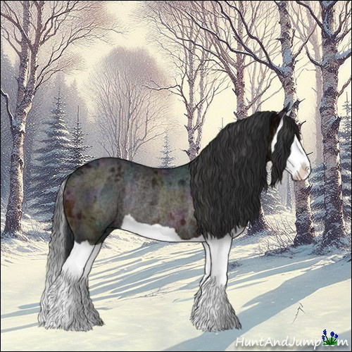 Horse Color:Midnight Bay Ice Splash Rabicano
