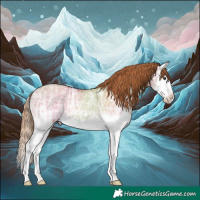 Horse Color:Red Dun Ice Splash Rabicano 