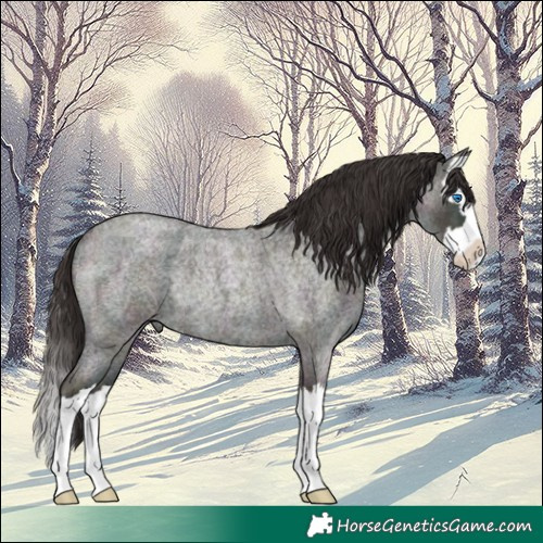 Horse Color:Midnight Bay Ice Roan Dun Splash Rabicano 