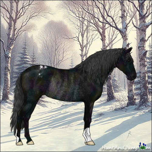 Horse Color:Midnight Black Varnish Rabicano 