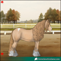 Horse Color:Chestnut Varnish 