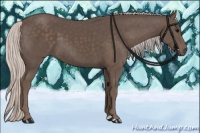 Horse Color:Silver Black 