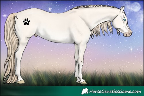 Horse Color:Perlino Dun 