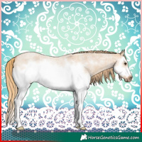 Horse Color:Red Dun Roan Splash Frame Rabicano 