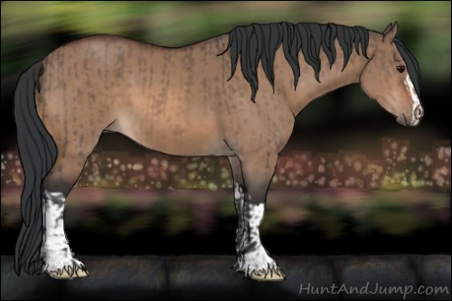 Horse Color:Brown Dun and Brown Dun
