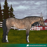 Horse Color:Brown Dun  and Brown Dun 