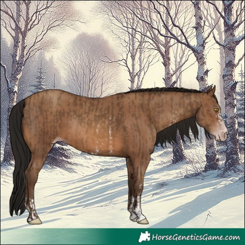 Horse Color:Gray Amber Champagne Sabino Rabicano and Gray Amber Champagne Sabino Rabicano