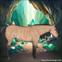 Horse Color:Bay Dun  and Bay Dun 