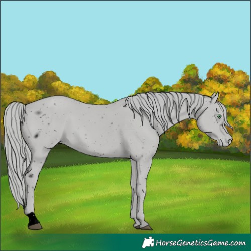 Horse Color:ERROR: UNKNOWN ANOMALY