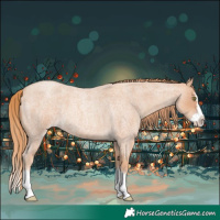 Horse Color:Gold Champagne Roan Splash 